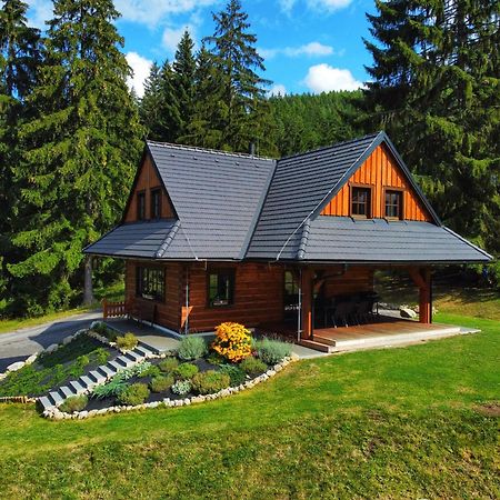Drevenica Lesanka Villa Demanovska Dolina Exteriör bild