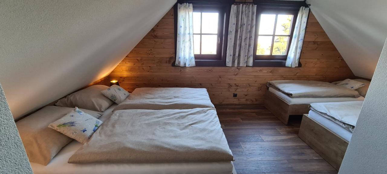 Drevenica Lesanka Villa Demanovska Dolina Exteriör bild