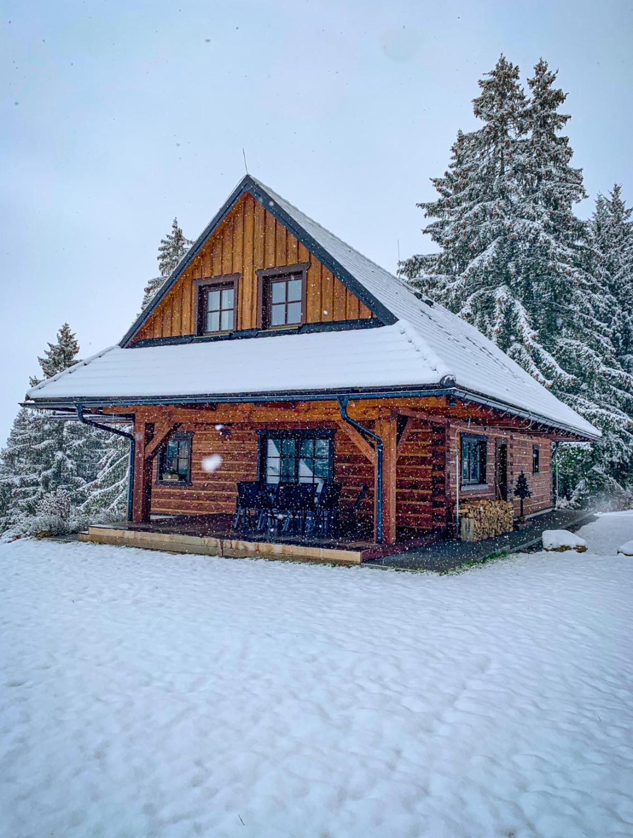 Drevenica Lesanka Villa Demanovska Dolina Exteriör bild